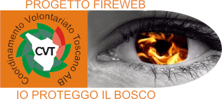 CVT - Fireweb